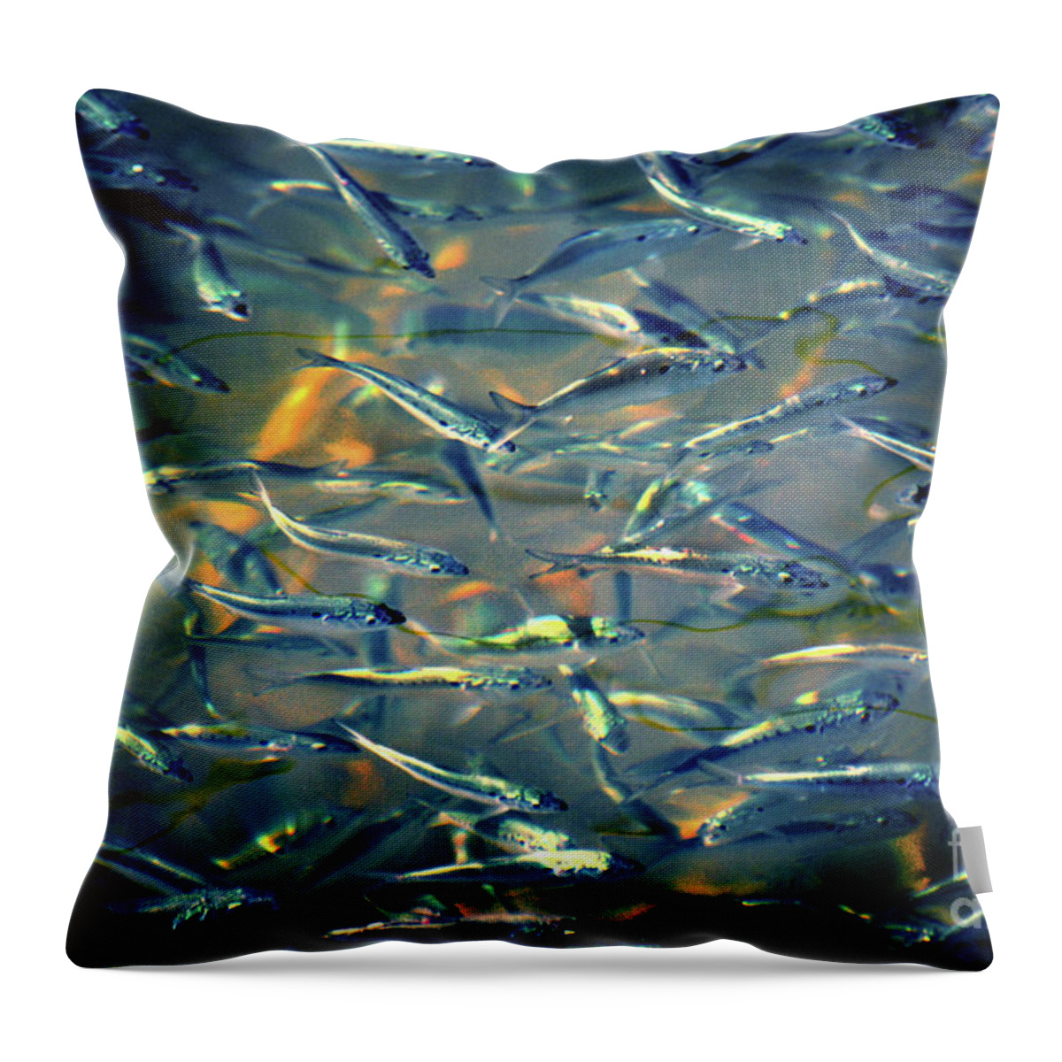 Minnows Throw Pillow featuring the photograph Minnows in Neon by Dianne Morgado