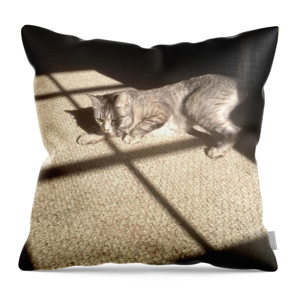 Sam Throw Pillow featuring the photograph Miss Kitty Too by Debra Grace Addison