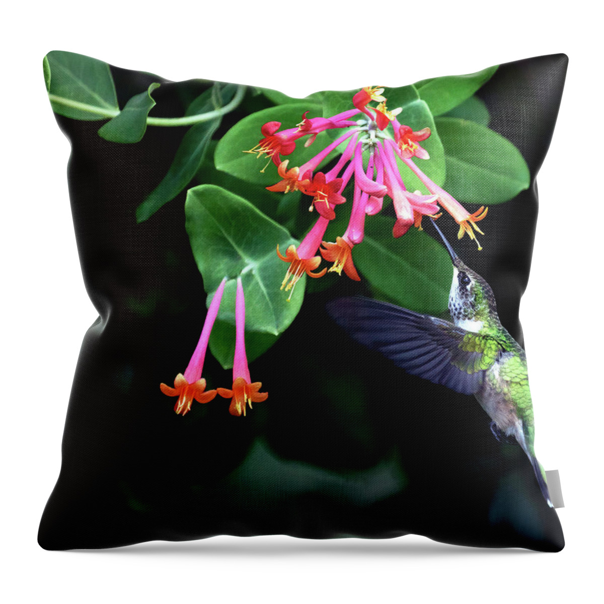 Bird Throw Pillow featuring the photograph Mission Sweetness by Art Cole