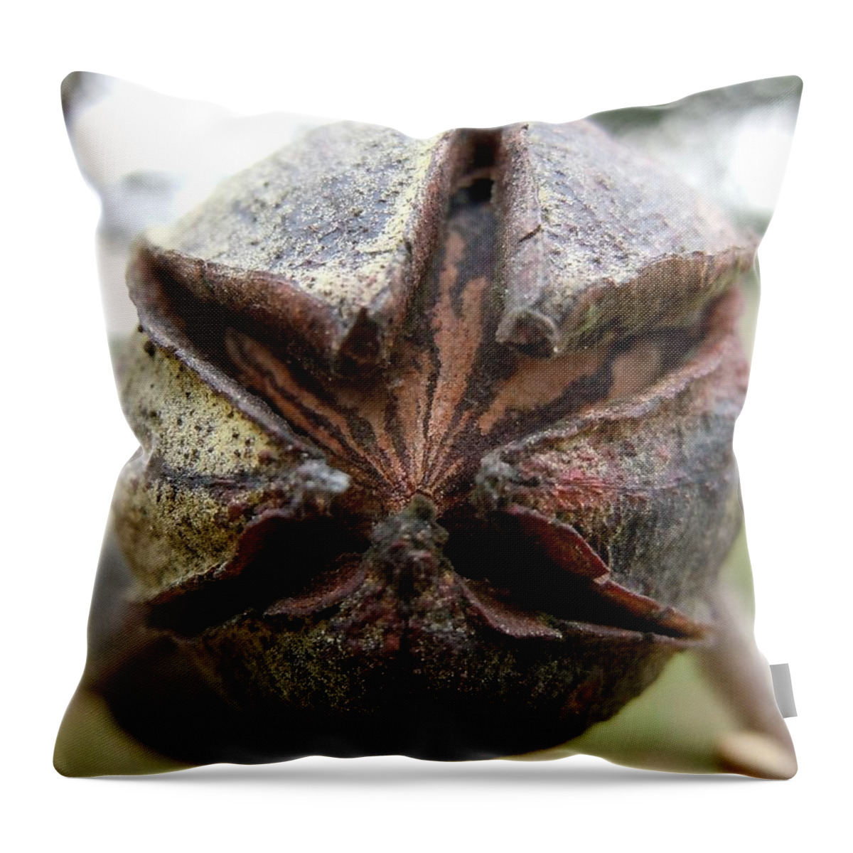 Pecan Throw Pillow featuring the photograph Mister Pecan by Ivars Vilums