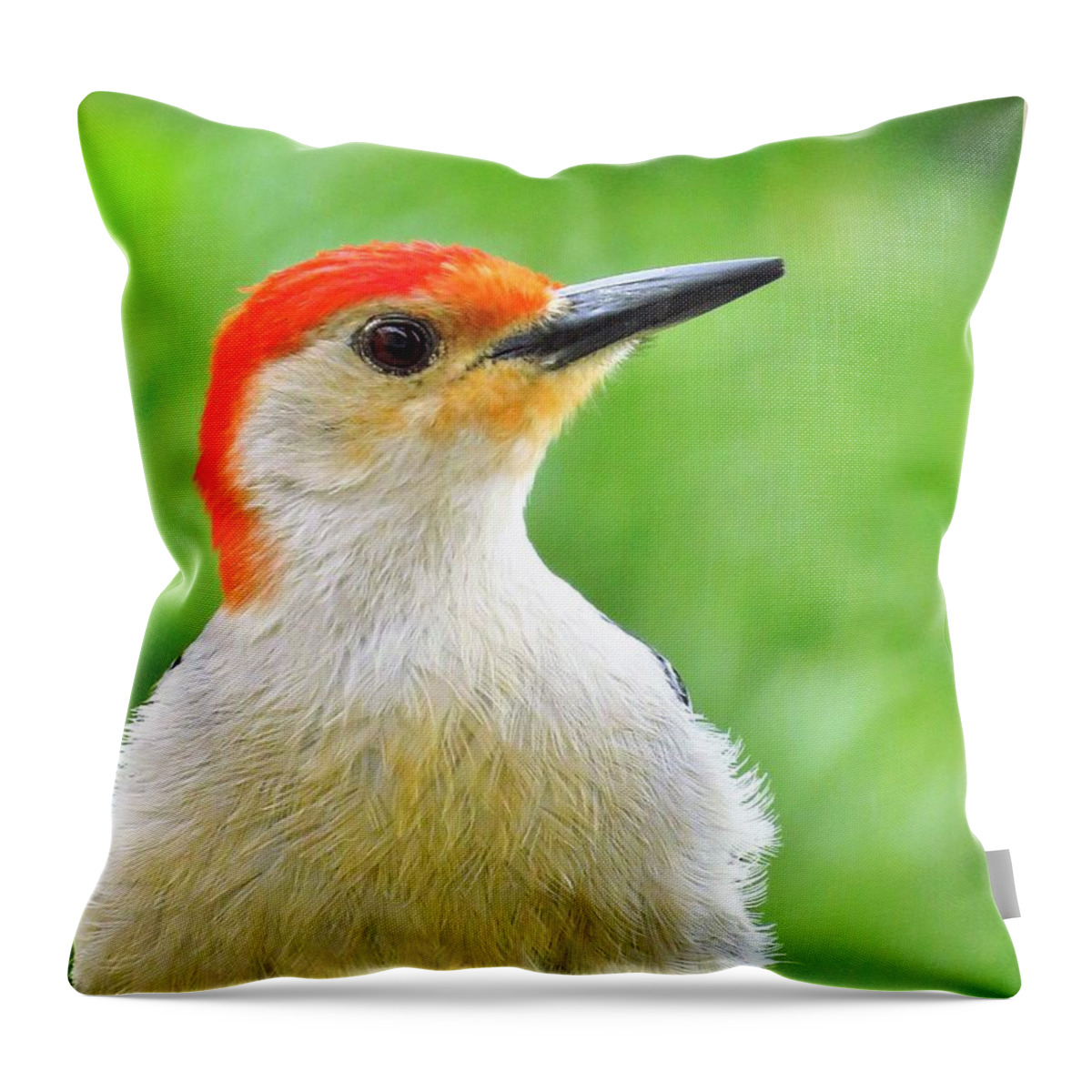 Woodpeckers Throw Pillow featuring the photograph Mister Red Bellied Woodpecker by Lori Frisch