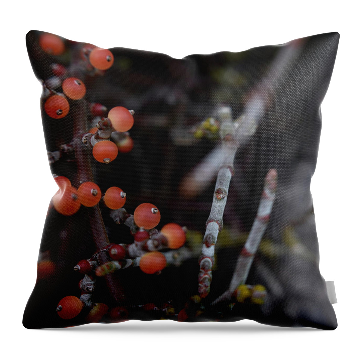 Berries Throw Pillow featuring the photograph Mistletoe by Melisa Elliott