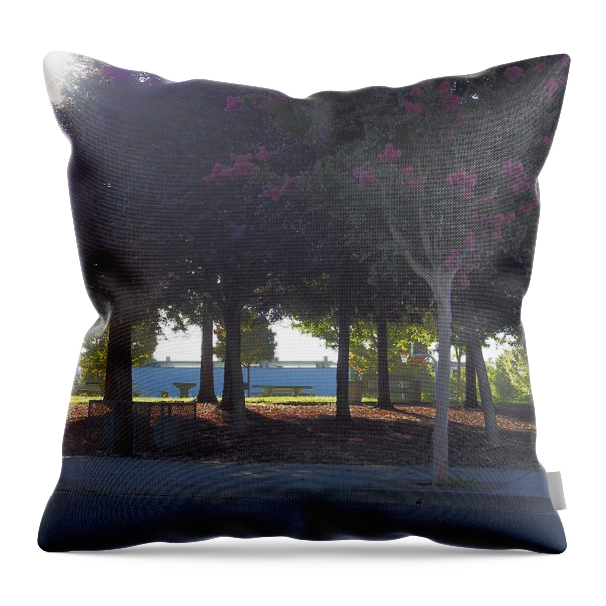 Seasons Throw Pillow featuring the photograph Misty Fall Morning by Richard Thomas