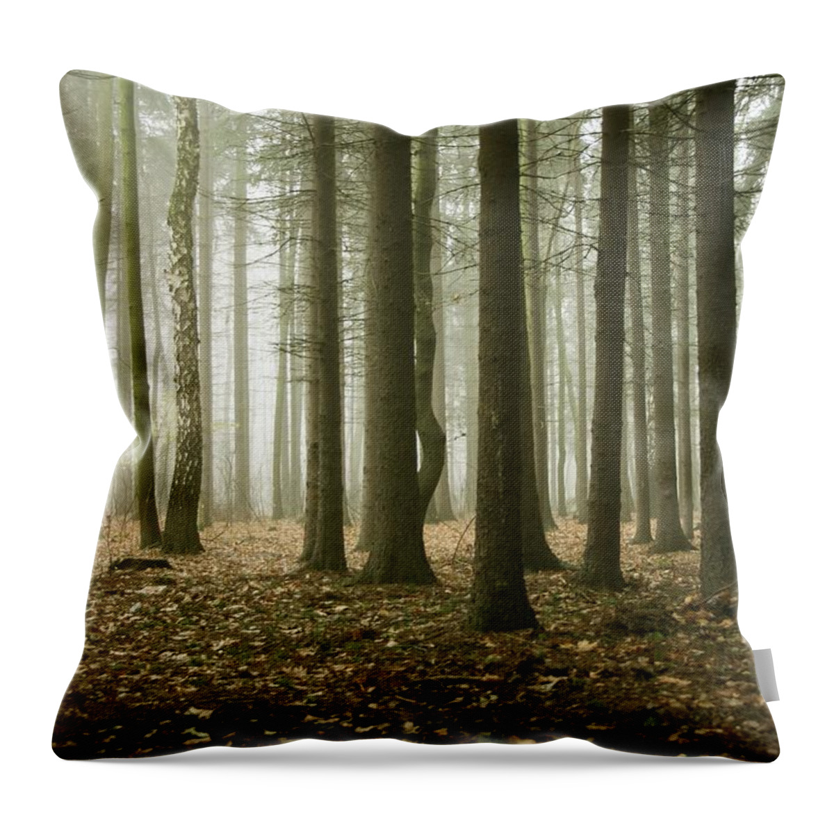Scenics Throw Pillow featuring the photograph Misty Forest by Macroworld
