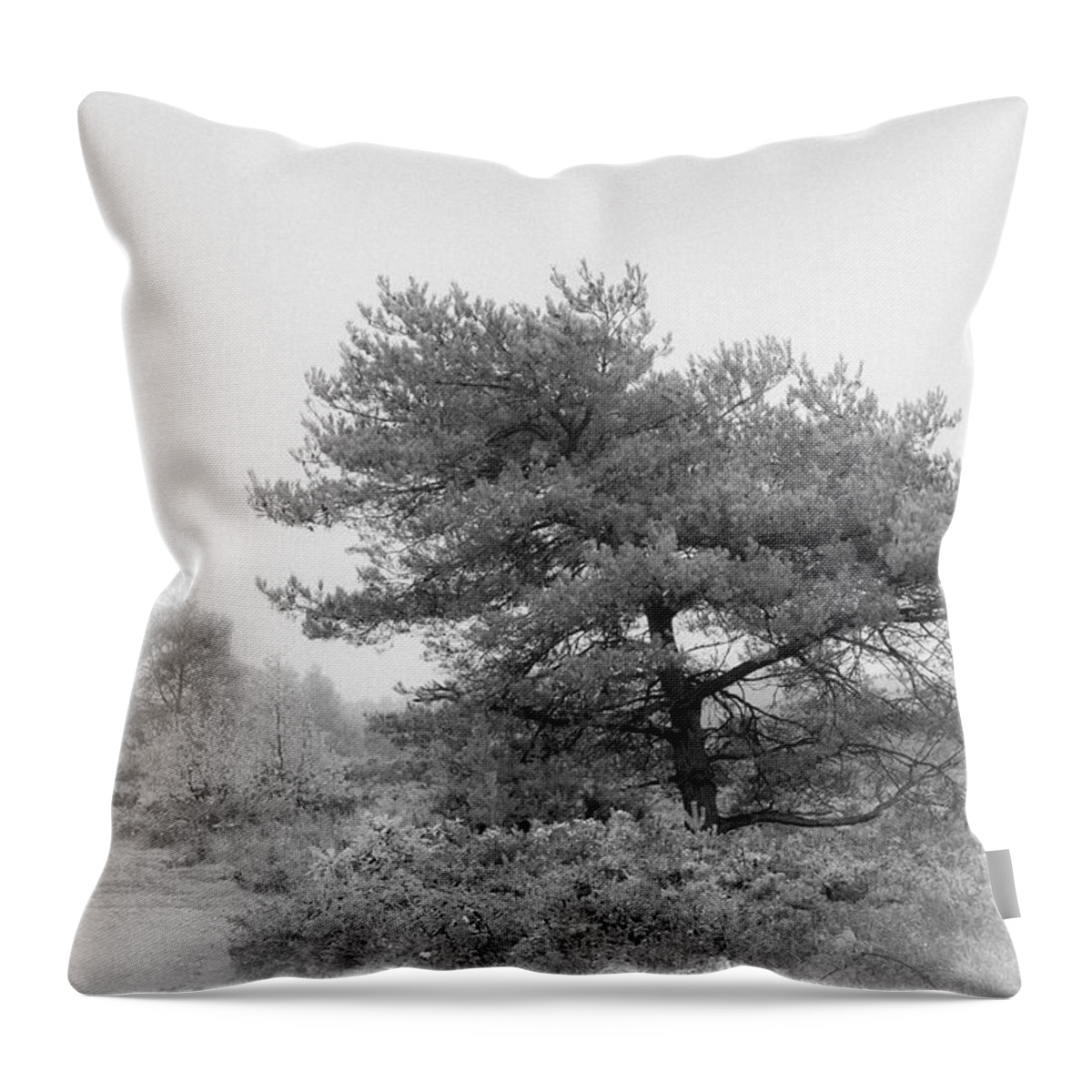 Misty Throw Pillow featuring the photograph Misty by Tanya C Smith