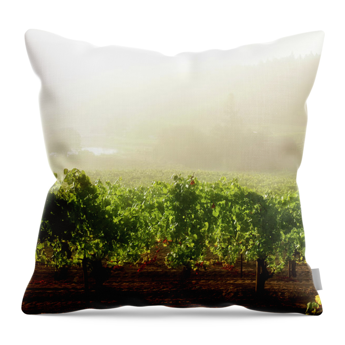 Sonoma County Throw Pillow featuring the photograph Misty Vineyard Sunrise by Donald gruener