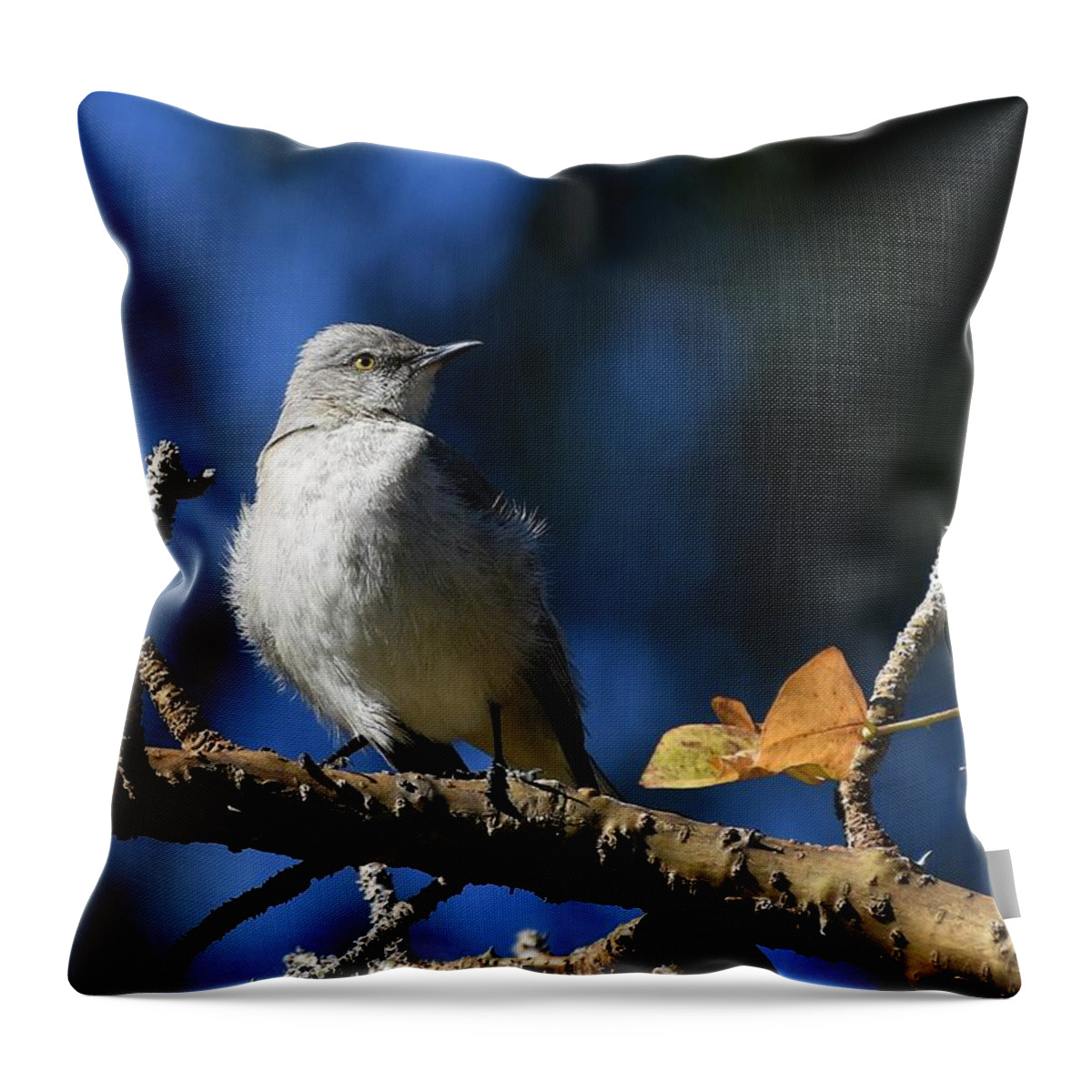 Northern Mockingbird Throw Pillow featuring the photograph Mockingbird Has The Blues by Fraida Gutovich