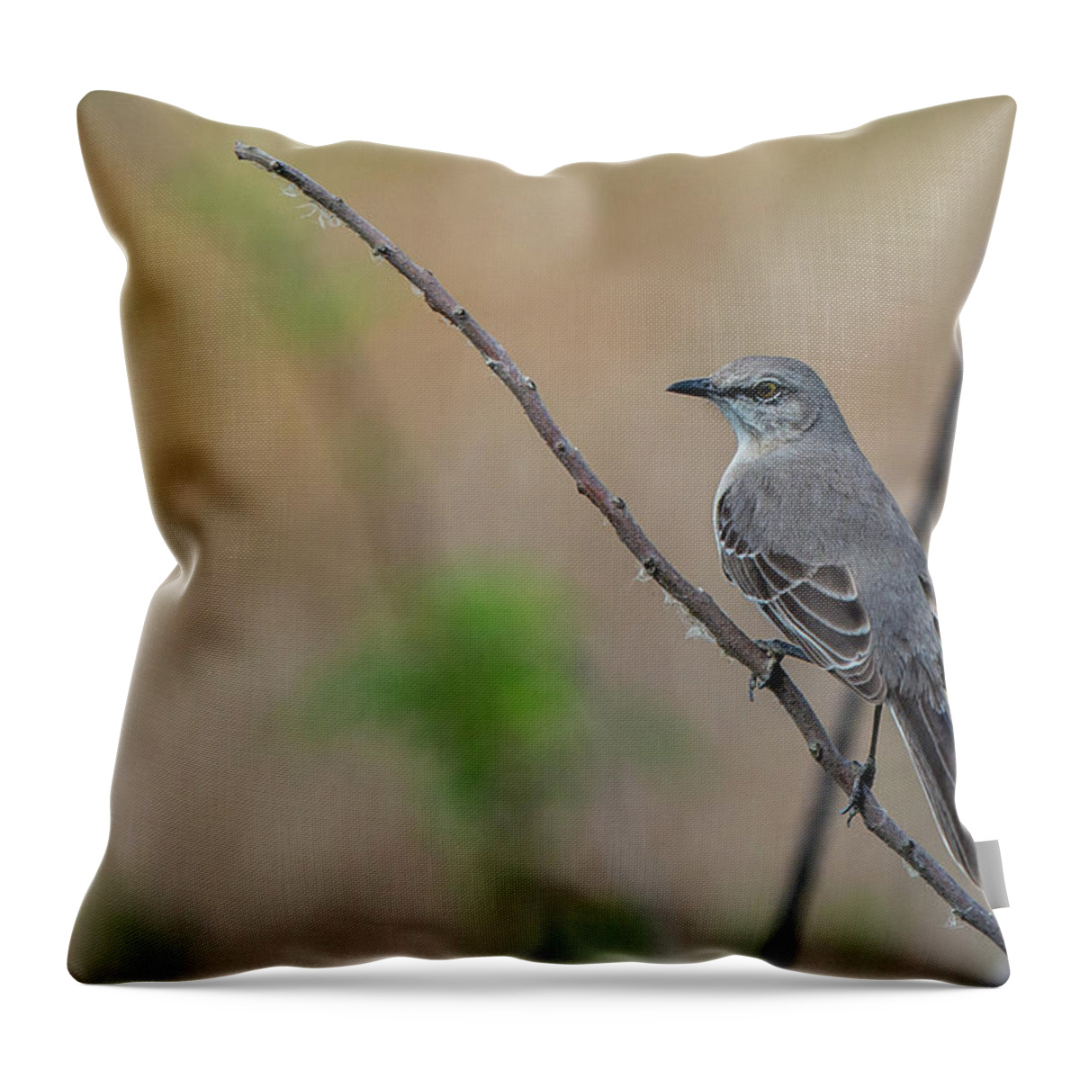 Northern Mockingbird Throw Pillow featuring the photograph Mockingbird of Savannah by Douglas Wielfaert