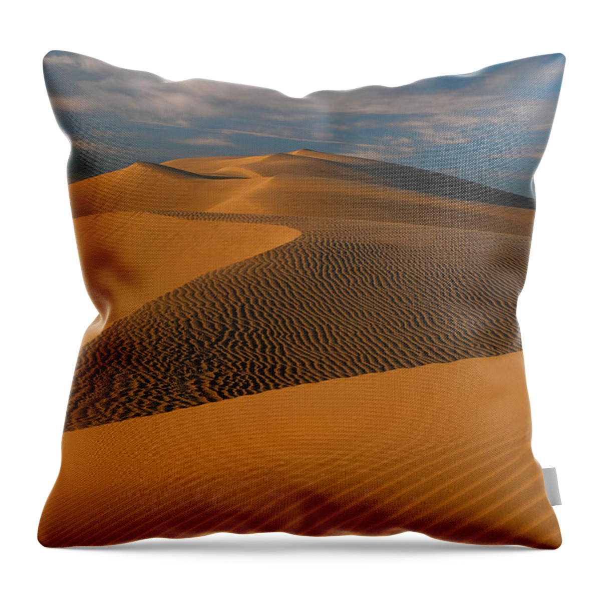 Jeff Foott Throw Pillow featuring the photograph Mojave Desert Sand Dune by Jeff Foott