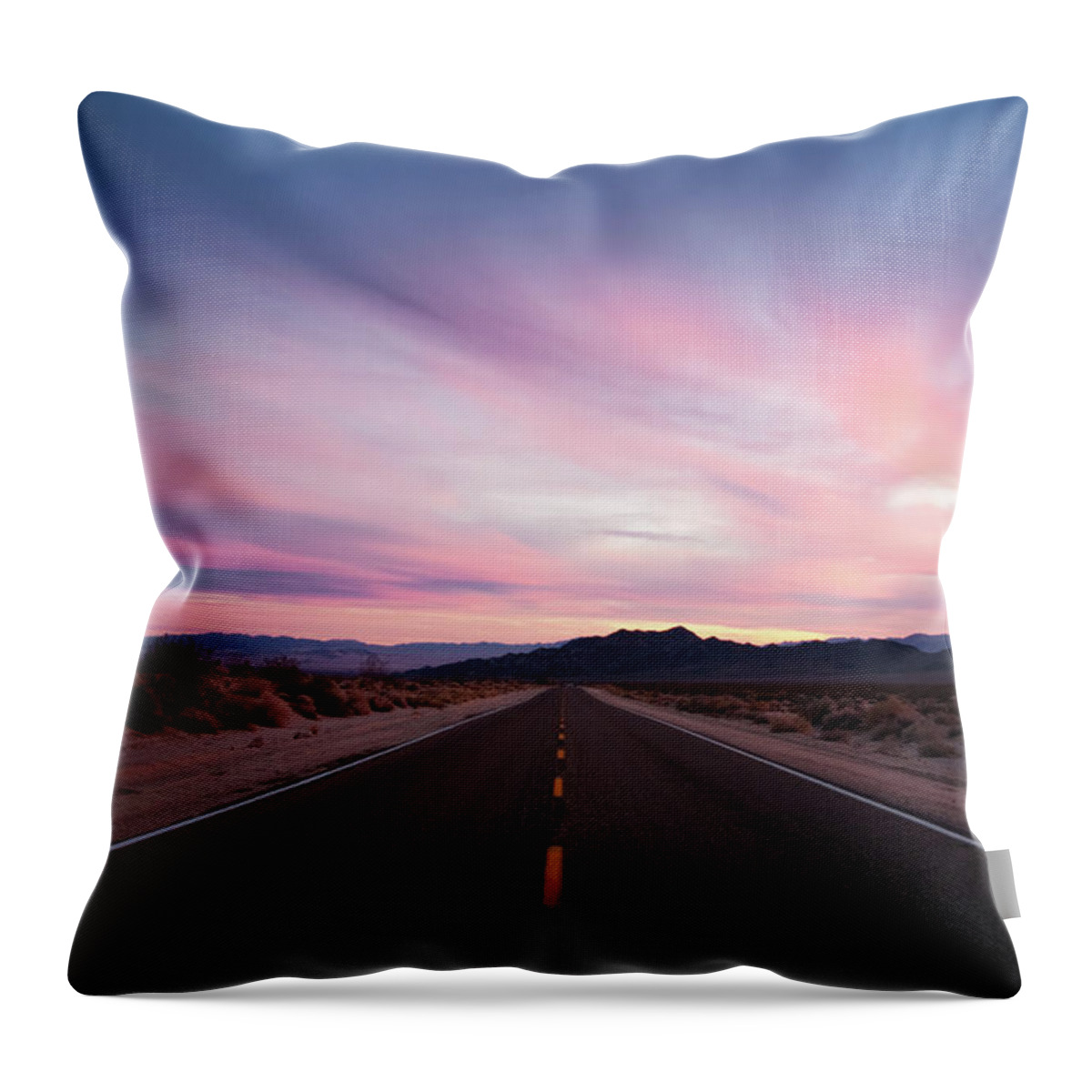 Grass Throw Pillow featuring the photograph Mojave Desert Sunset On Lonely, Wide by Eric Lowenbach