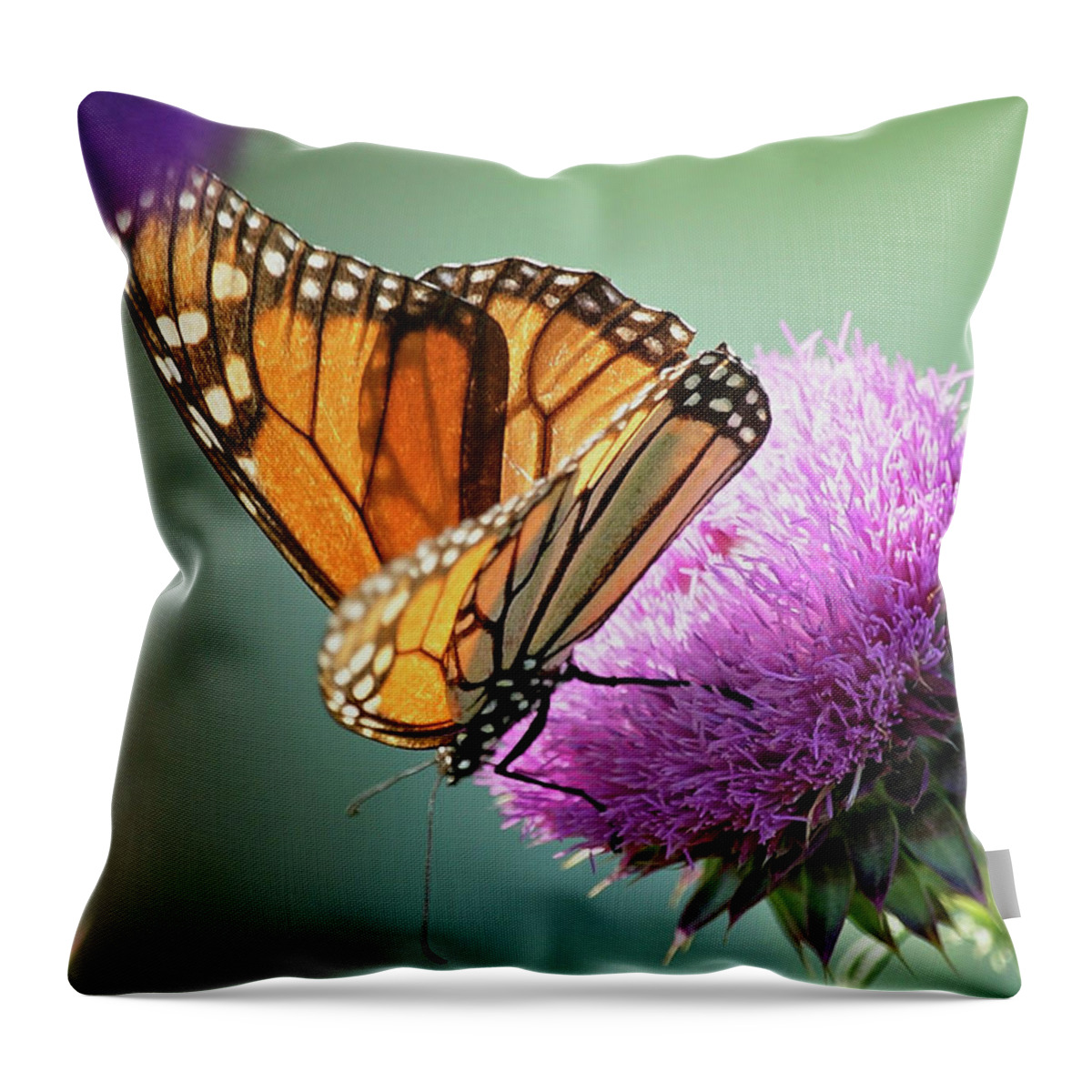 Betty Depee Throw Pillow featuring the photograph Monarch and Thistle by Betty Depee