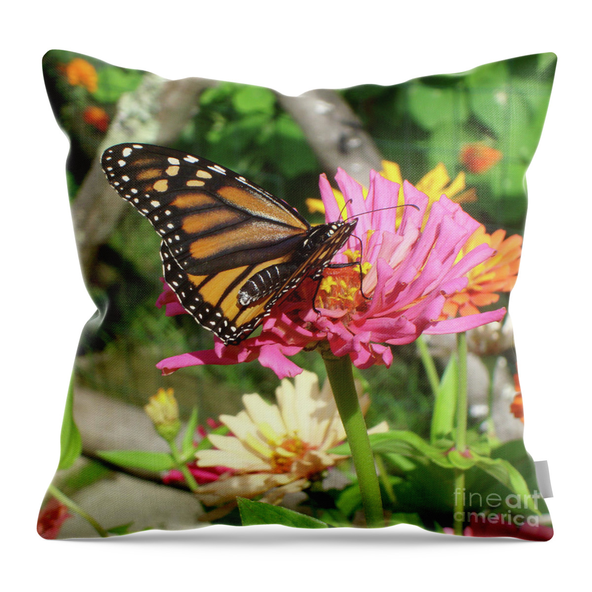 Monarch Throw Pillow featuring the photograph Monarch and Zinnia 1 by Amy E Fraser