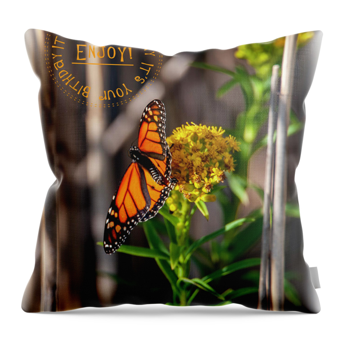 Monarch Throw Pillow featuring the photograph Monarch Birthday Card by Cathy Kovarik
