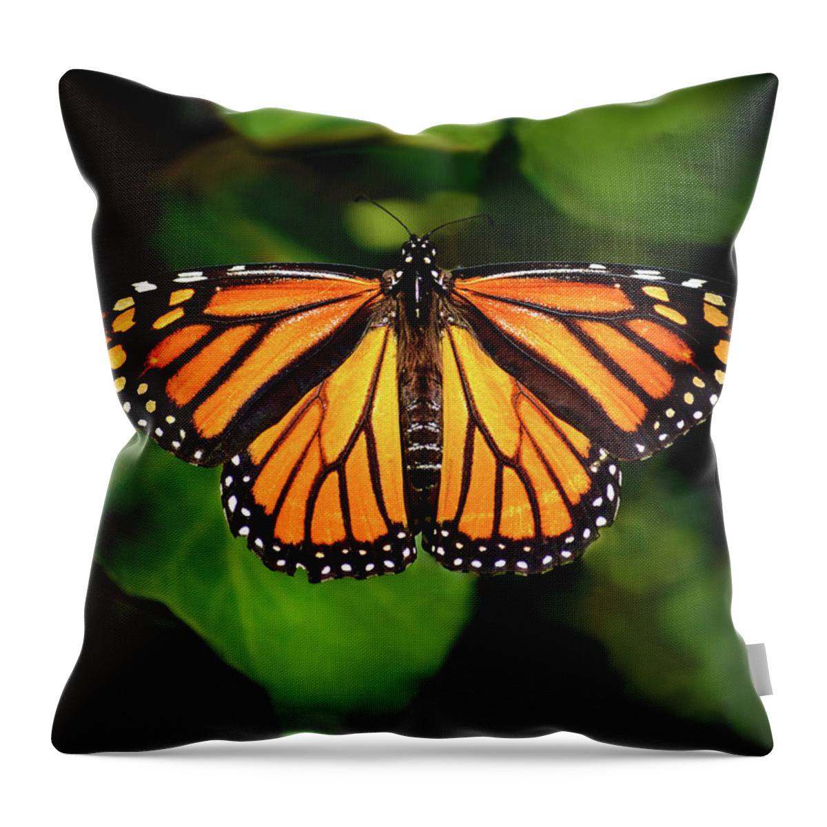 Nature Throw Pillow featuring the photograph Majestic Monarch by Brian Tada