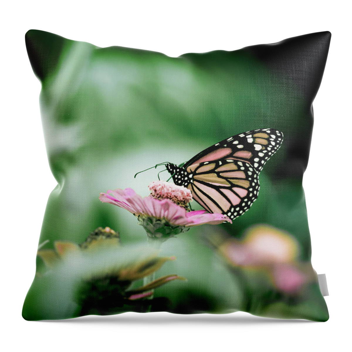 Insect Throw Pillow featuring the photograph Monarch Butterfly In Colorful Flower by Jp Benante