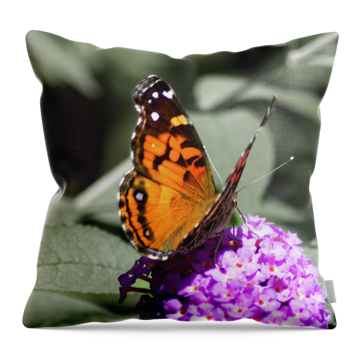 Antennae Throw Pillow featuring the photograph Monarch by Dick Botkin