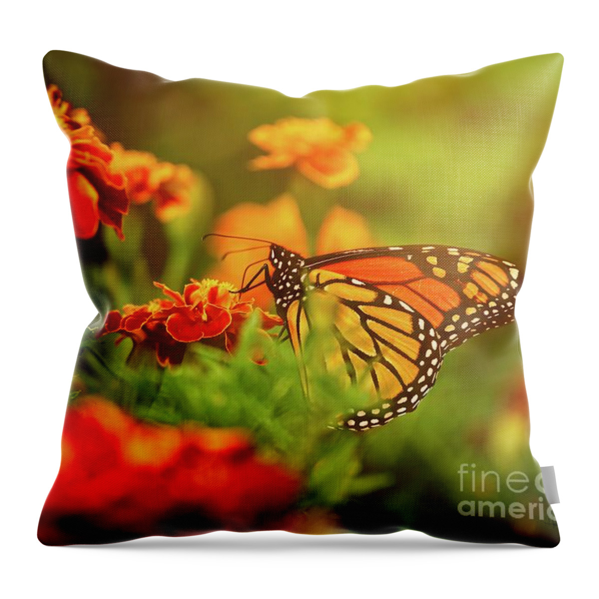 Insect Throw Pillow featuring the photograph Monarch in Morning by Heather Hubbard