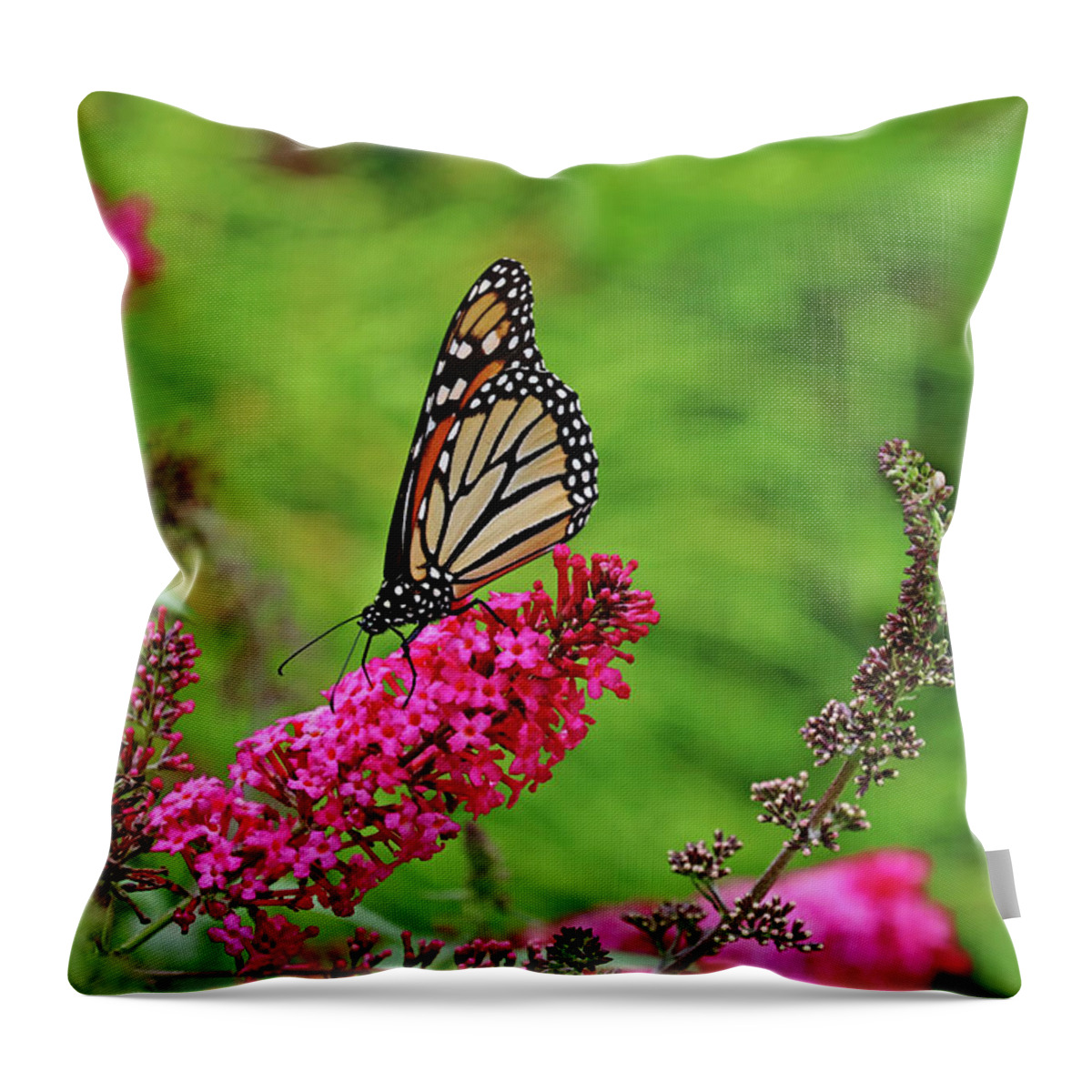 Butterfly Throw Pillow featuring the photograph Monarch In The Garden by Debbie Oppermann