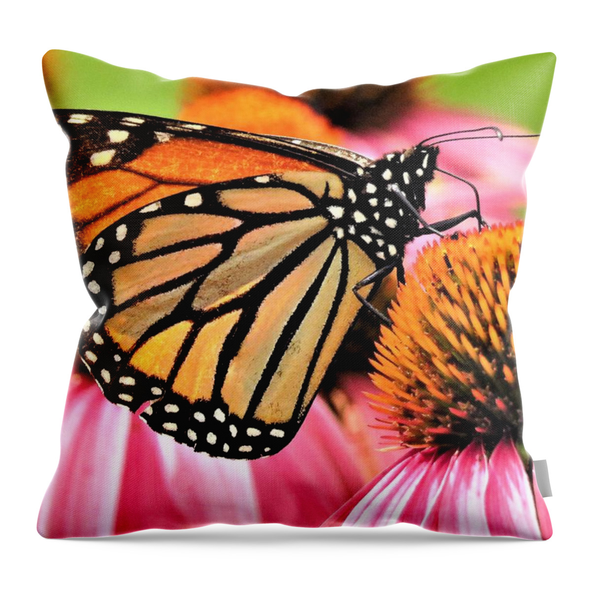 Monarchs Throw Pillow featuring the photograph Monarch on Coneflowers by Lori Frisch