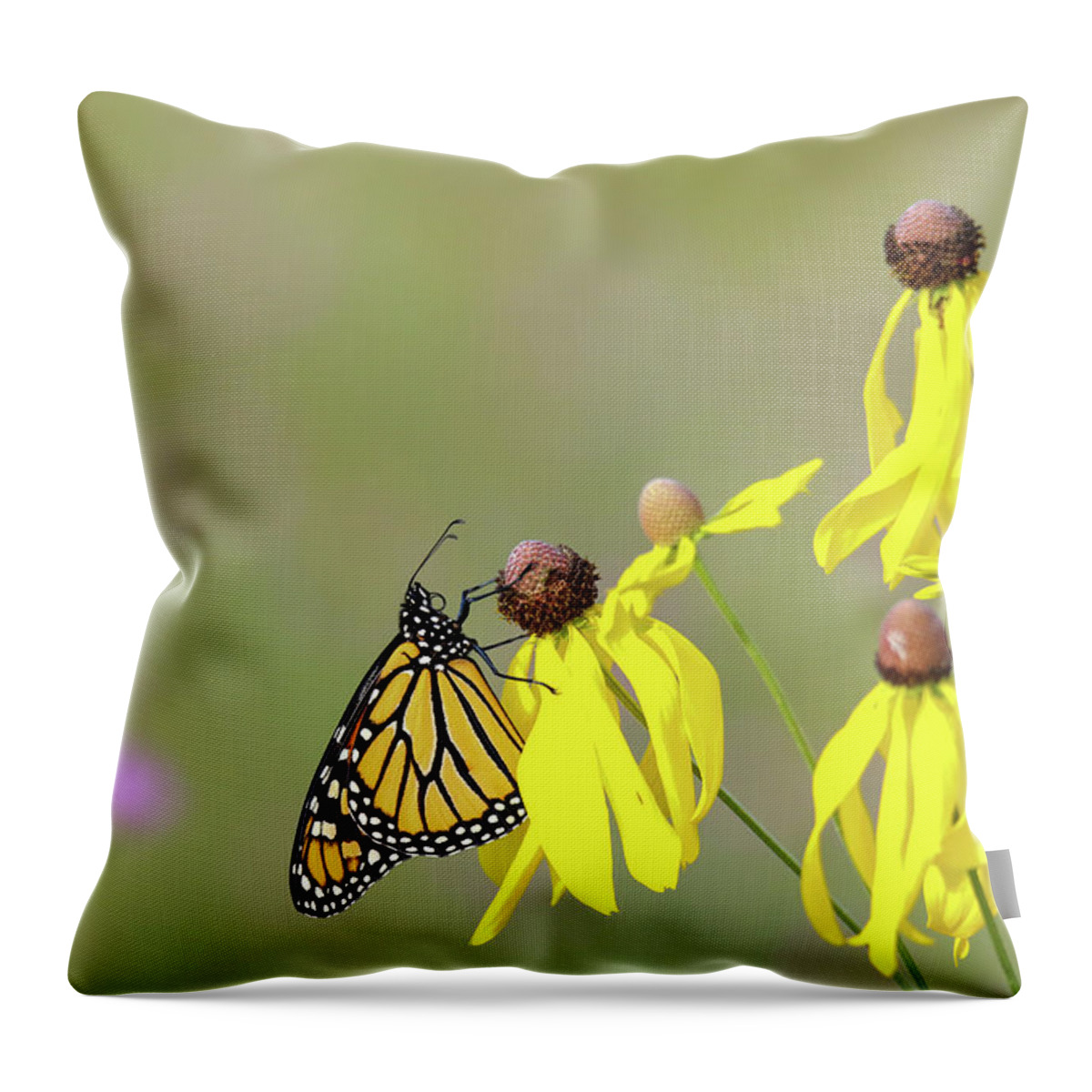 Monarch Throw Pillow featuring the photograph Monarch on Yellow Coneflower by Brook Burling