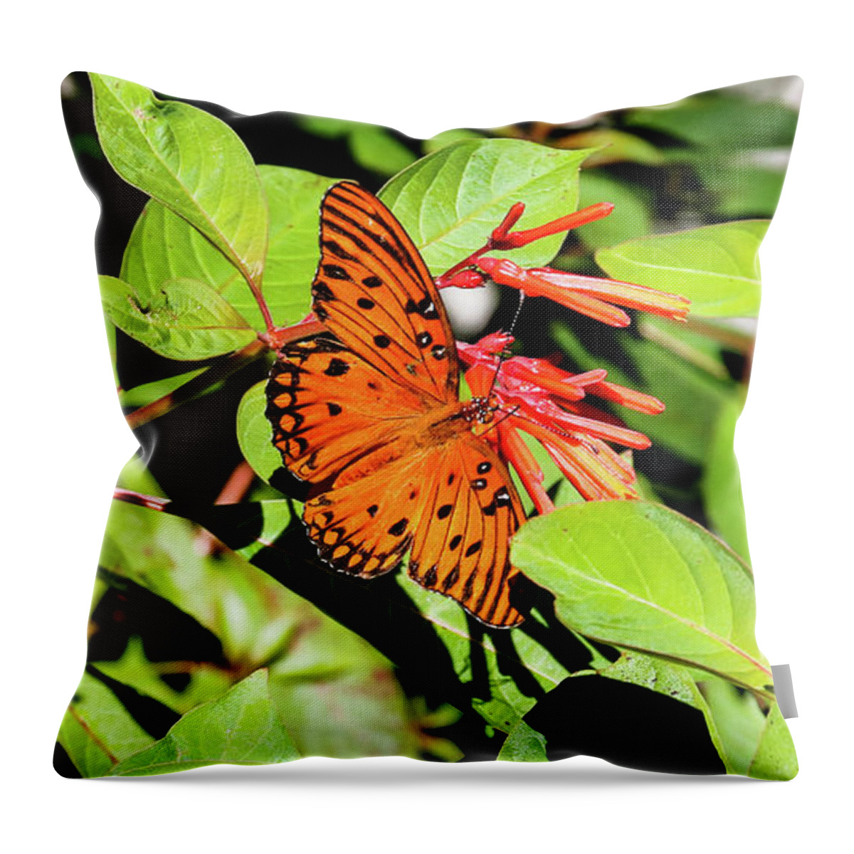 Butterfly Throw Pillow featuring the photograph Monarch by Rick Redman