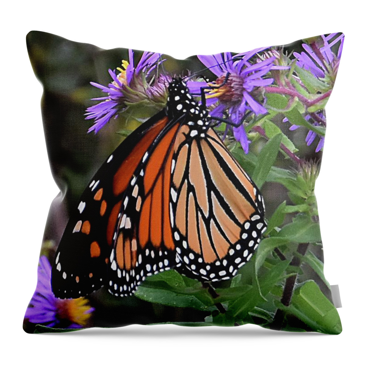 Diane Berry Throw Pillow featuring the photograph Monarch Scout by Diane E Berry