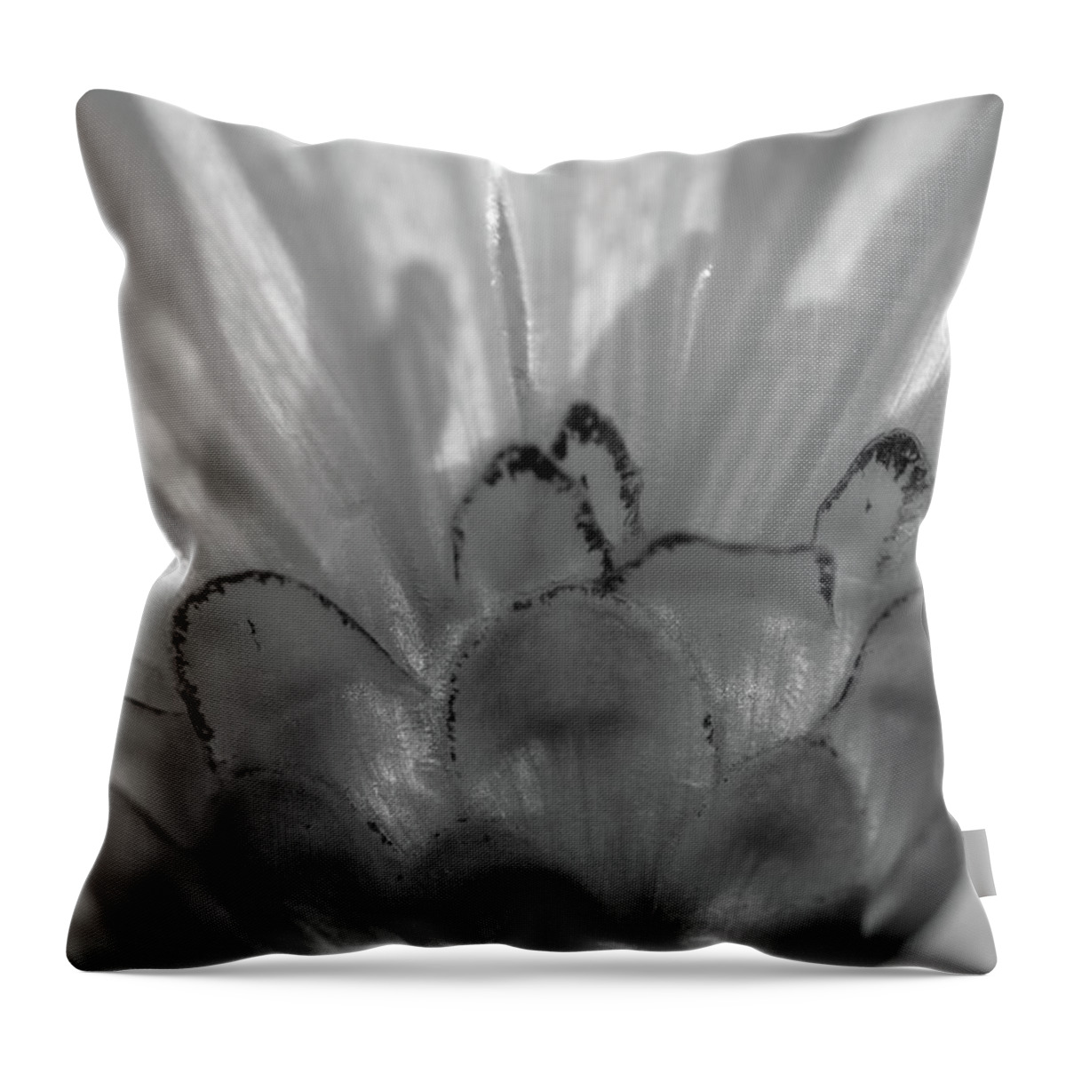 Monochromatic Throw Pillow featuring the photograph Monochromatic Magic by Mary Anne Delgado