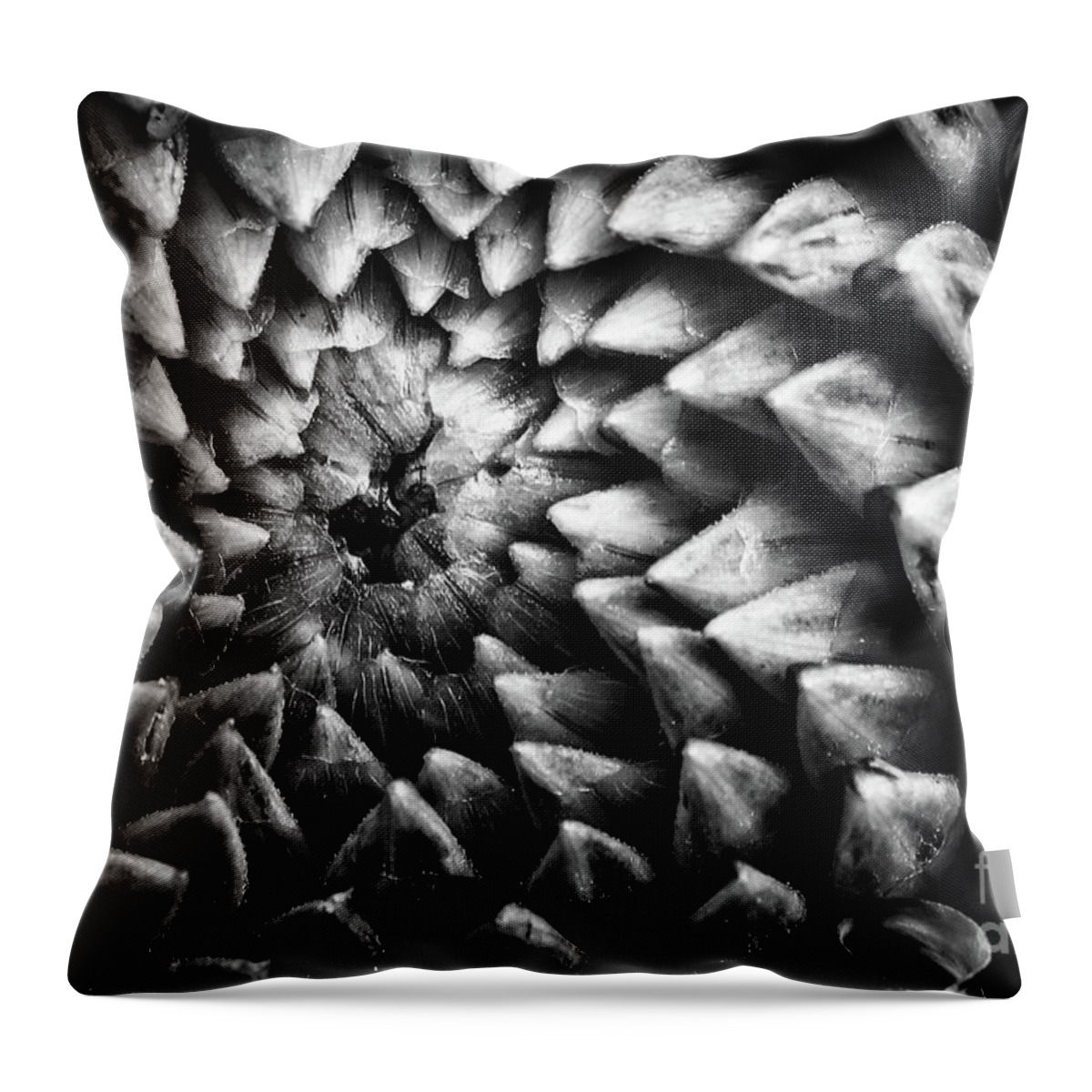 Dahlia Throw Pillow featuring the photograph Monochrome dahlia flower head pattern by Simon Bratt