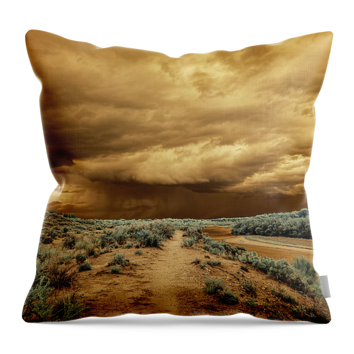 Monsoon Throw Pillow featuring the photograph Monsoon Clouds Over the Rio Grande by Michael McKenney