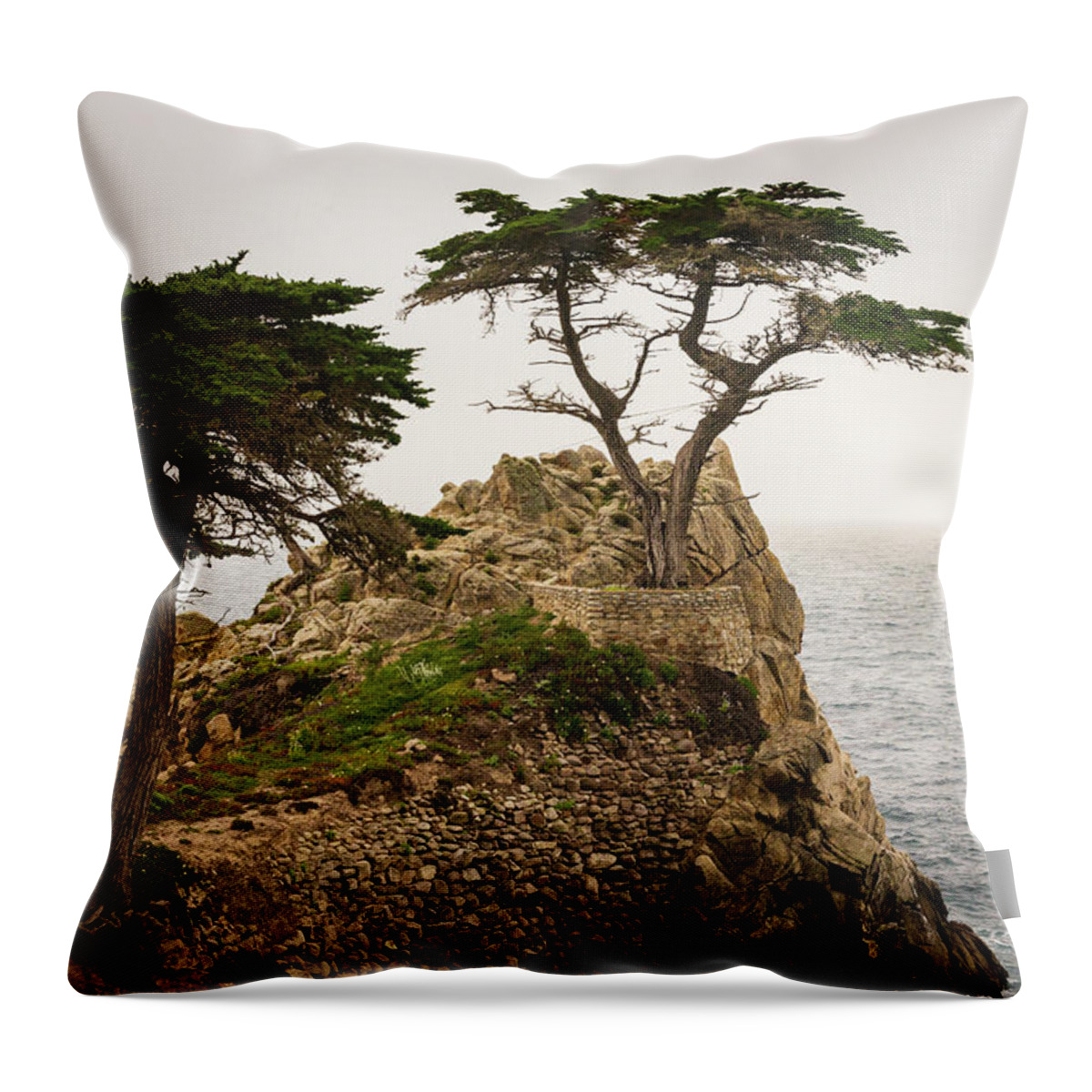 17 Mile Drive Throw Pillow featuring the photograph Monterey Peninsula II Color by David Gordon