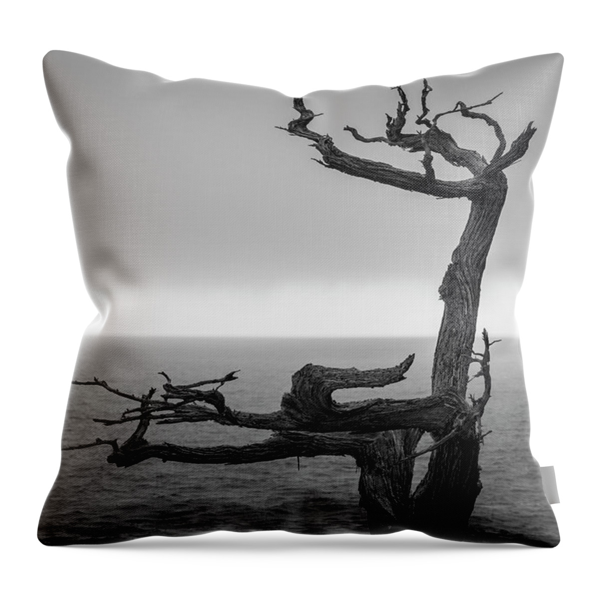 17 Mile Drive Throw Pillow featuring the photograph Monterey Peninsula V BW by David Gordon