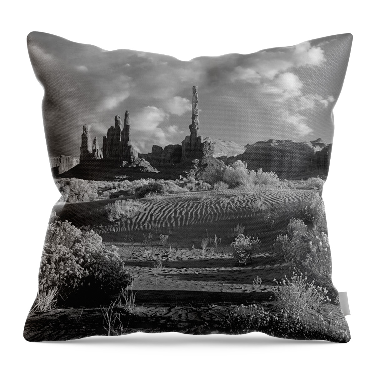 Disk1216 Throw Pillow featuring the photograph Monument Valley, Arizona by Tim Fitzharris