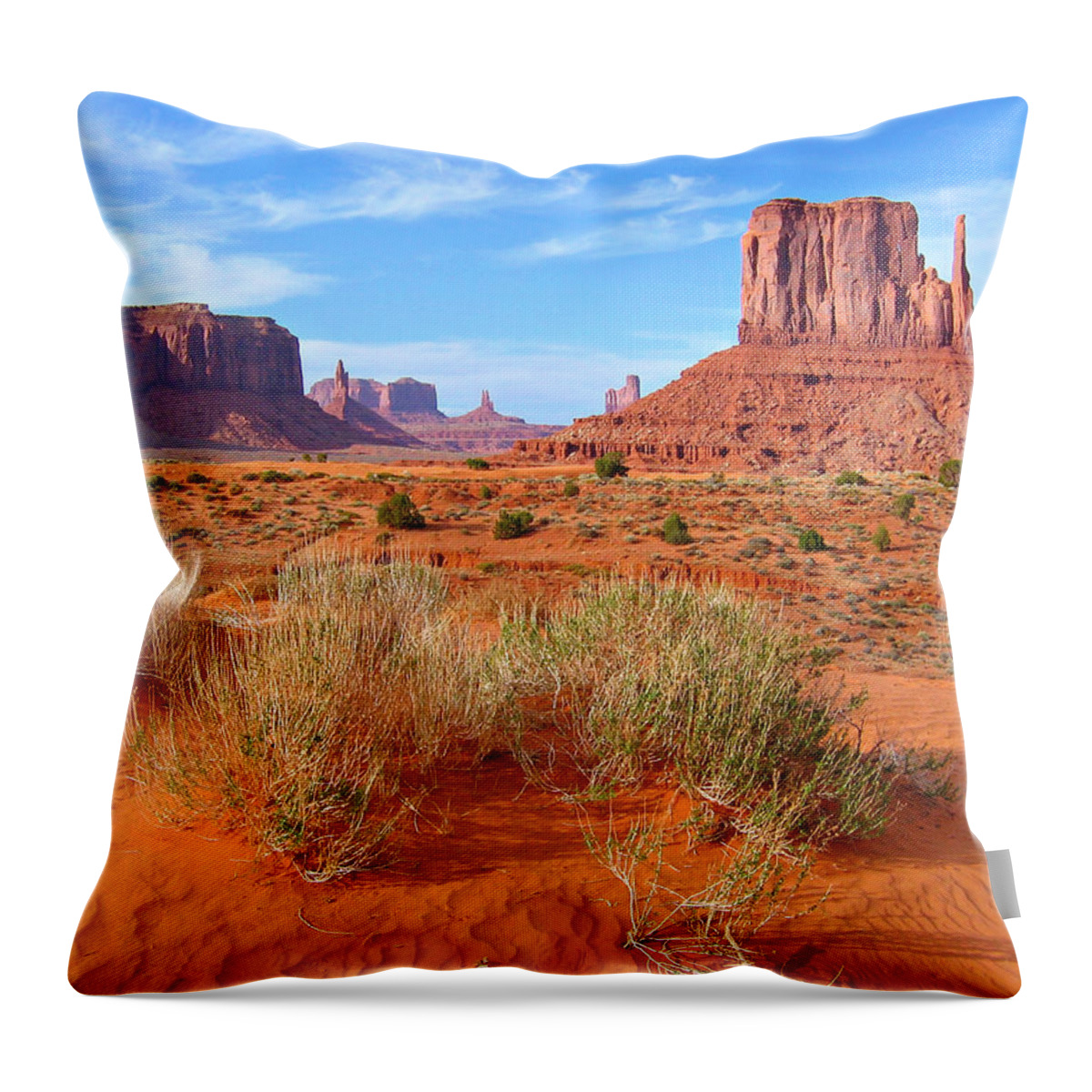 Tranquility Throw Pillow featuring the photograph Monument Valley Landscape by Sandra Leidholdt
