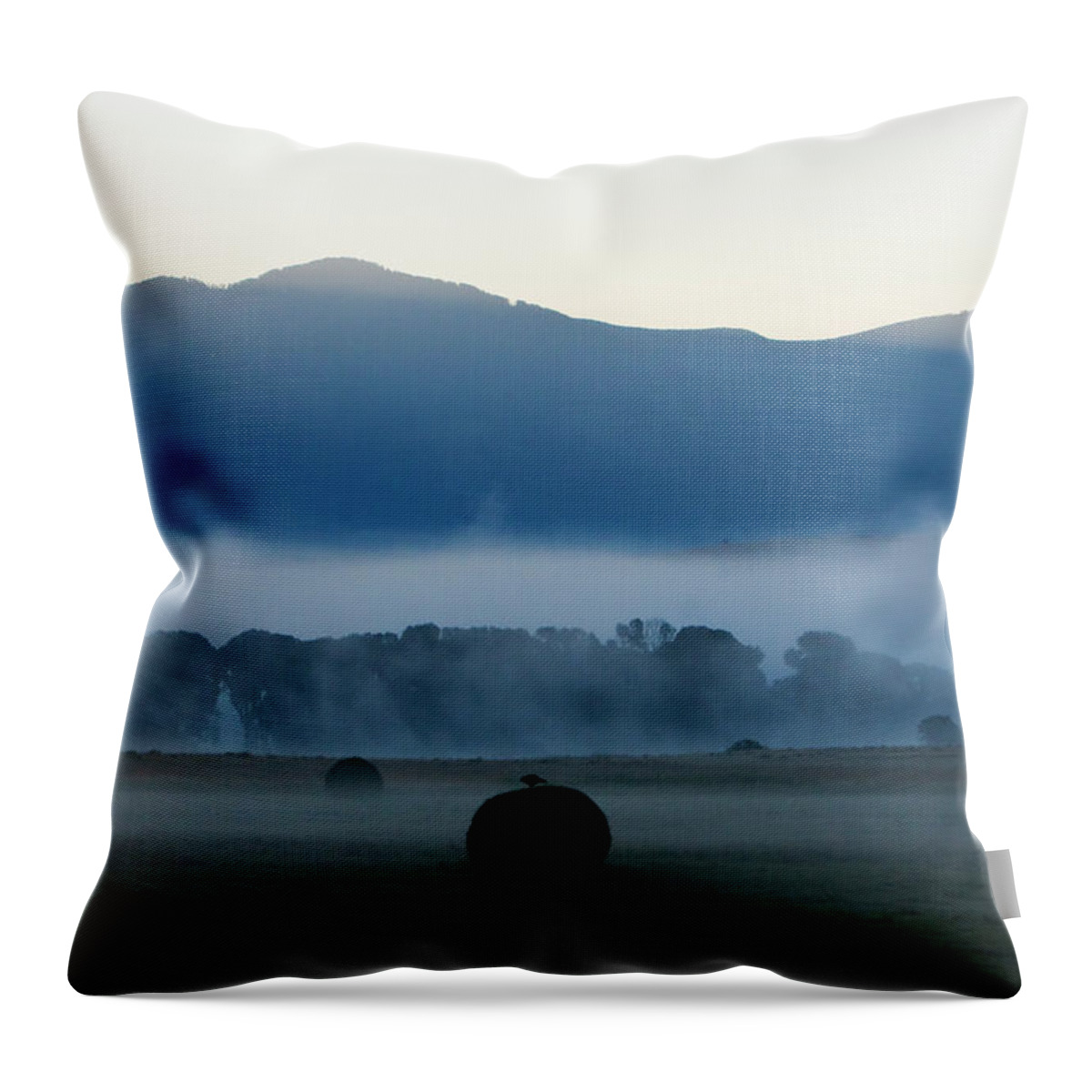 Bale Throw Pillow featuring the photograph Moody And Misty Valley Sunrise by Mark Miller Photos