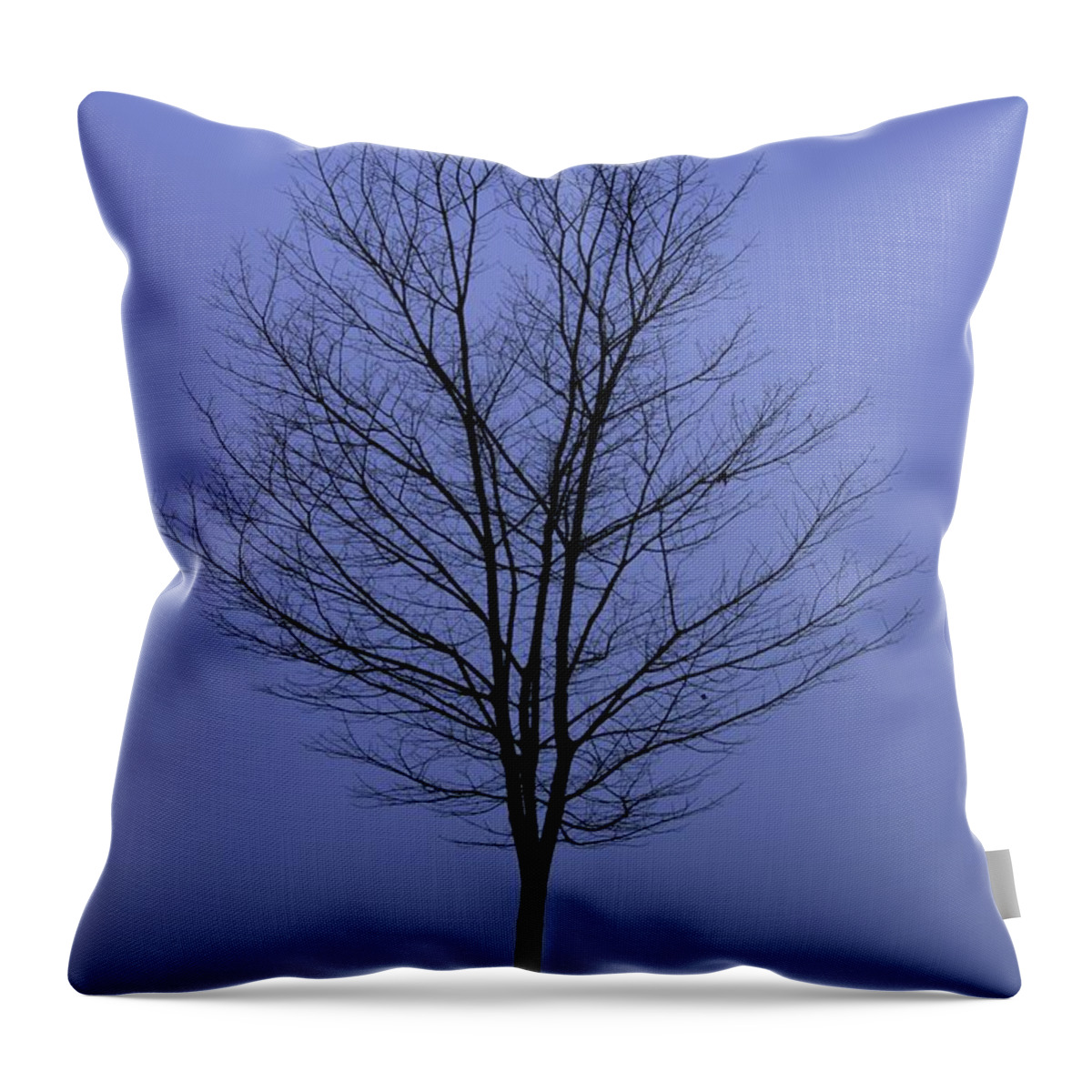 November Throw Pillow featuring the photograph Moody Blue November Day by Zennie