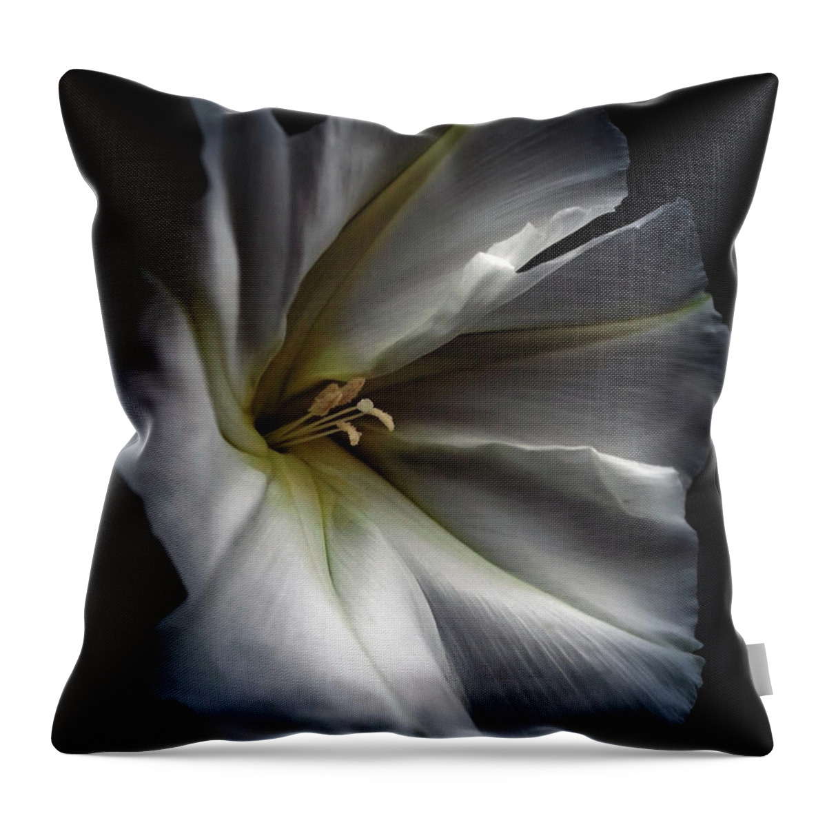 Moonflower Throw Pillow featuring the photograph Moonflower by Stamp City