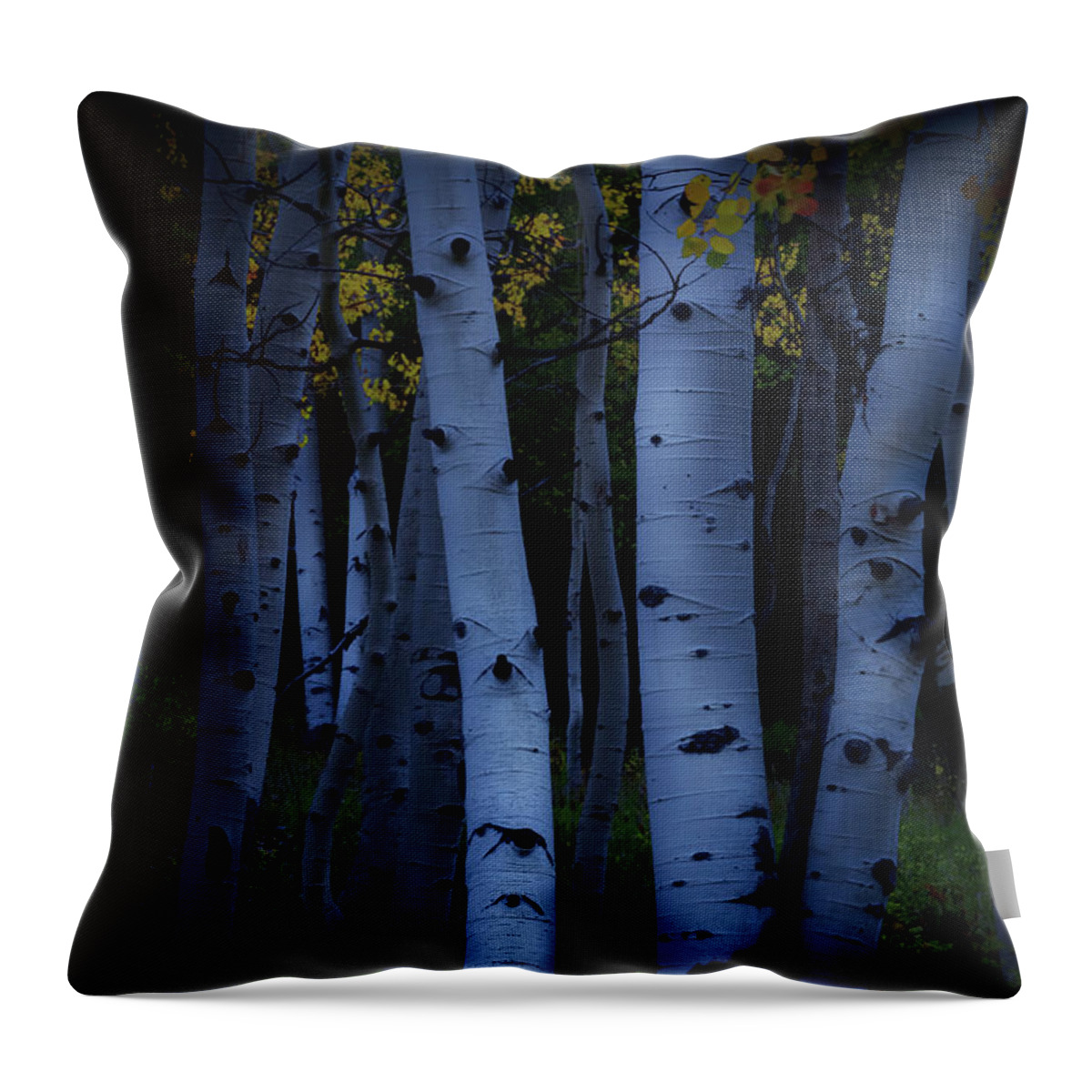 Aspen Trees Throw Pillow featuring the photograph Moonlight Aspens by The Forests Edge Photography - Diane Sandoval