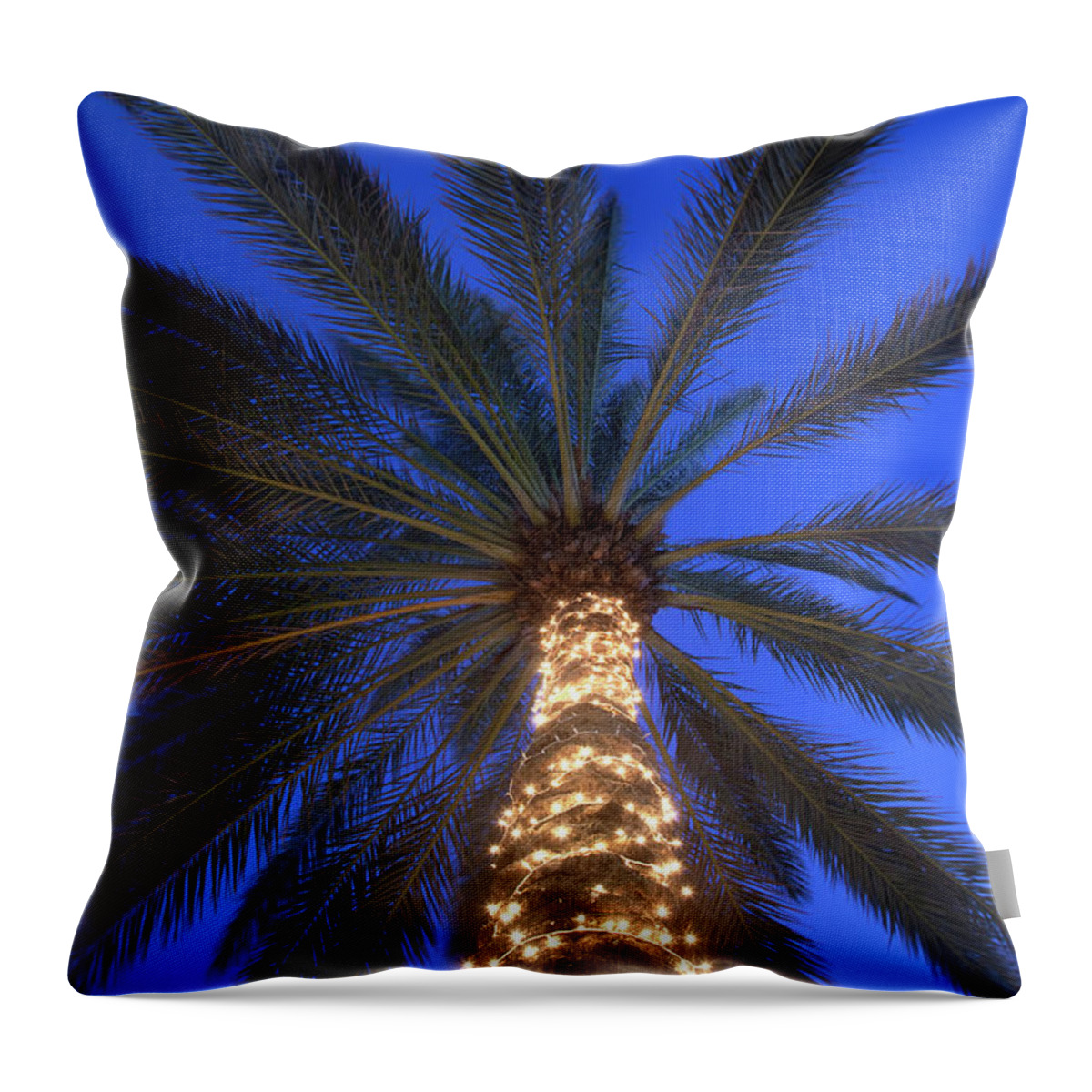 Tranquility Throw Pillow featuring the photograph Moonrise Near Lit-up Palm Tree by Grant Faint