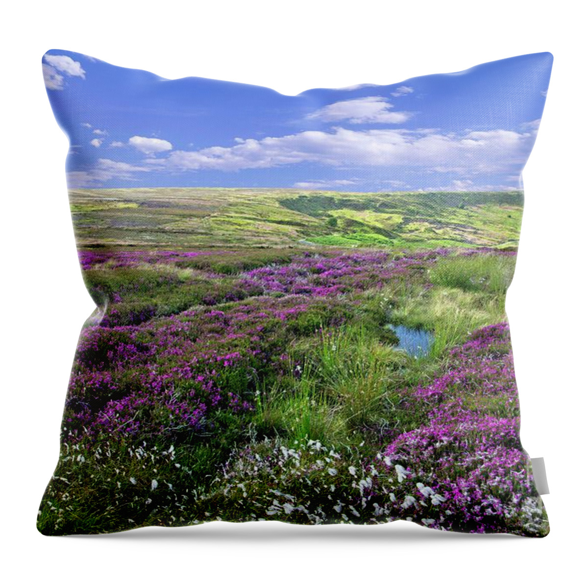 Yorkshire Moors Throw Pillow featuring the photograph Moorland Heather and Cottongrass by Martyn Arnold