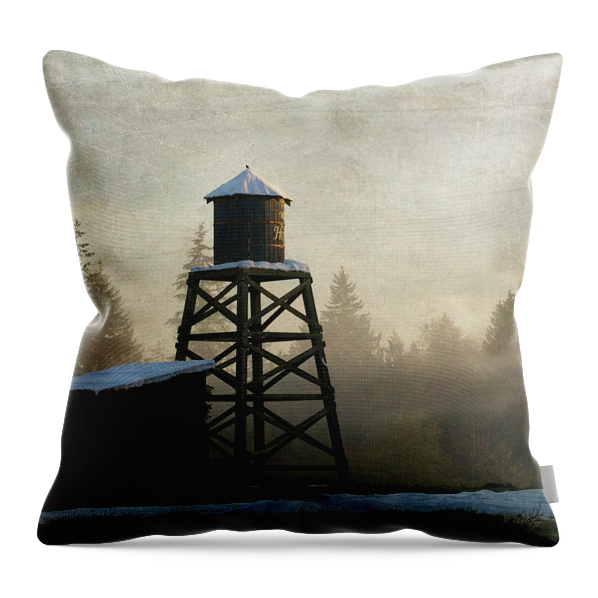More Of The Light Throw Pillow featuring the photograph More Of The Light - Hope Valley Art by Jordan Blackstone