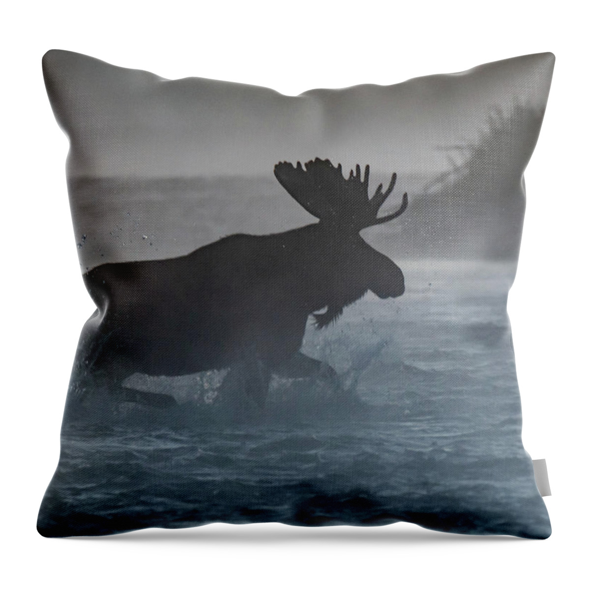 Moose Throw Pillow featuring the photograph Morning crossing by Mary Hone