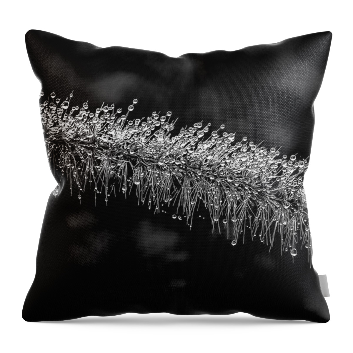 Drop Throw Pillow featuring the photograph Morning dew BW by Lyl Dil Creations