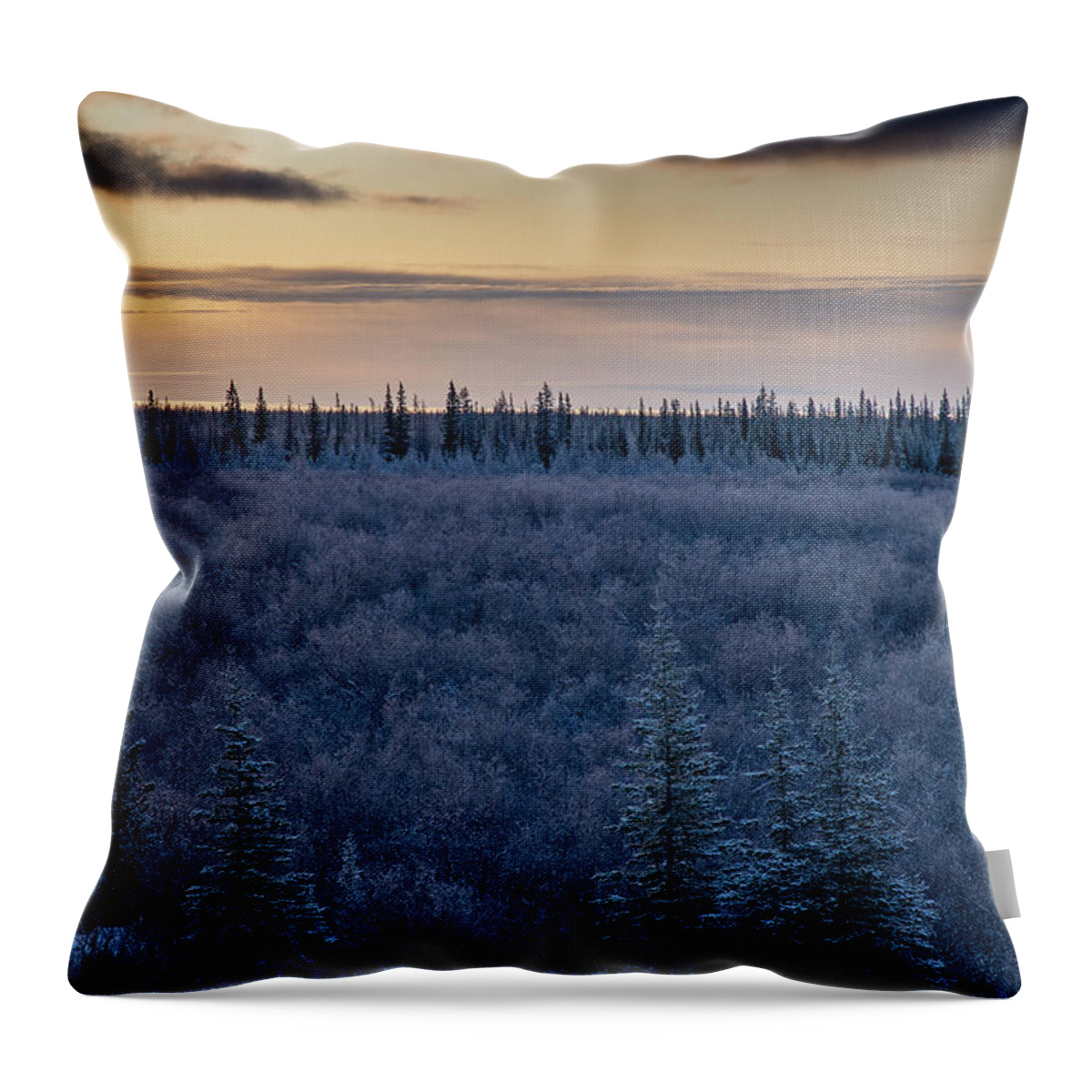 Dawn Throw Pillow featuring the photograph Morning Frost by Mark Hunter