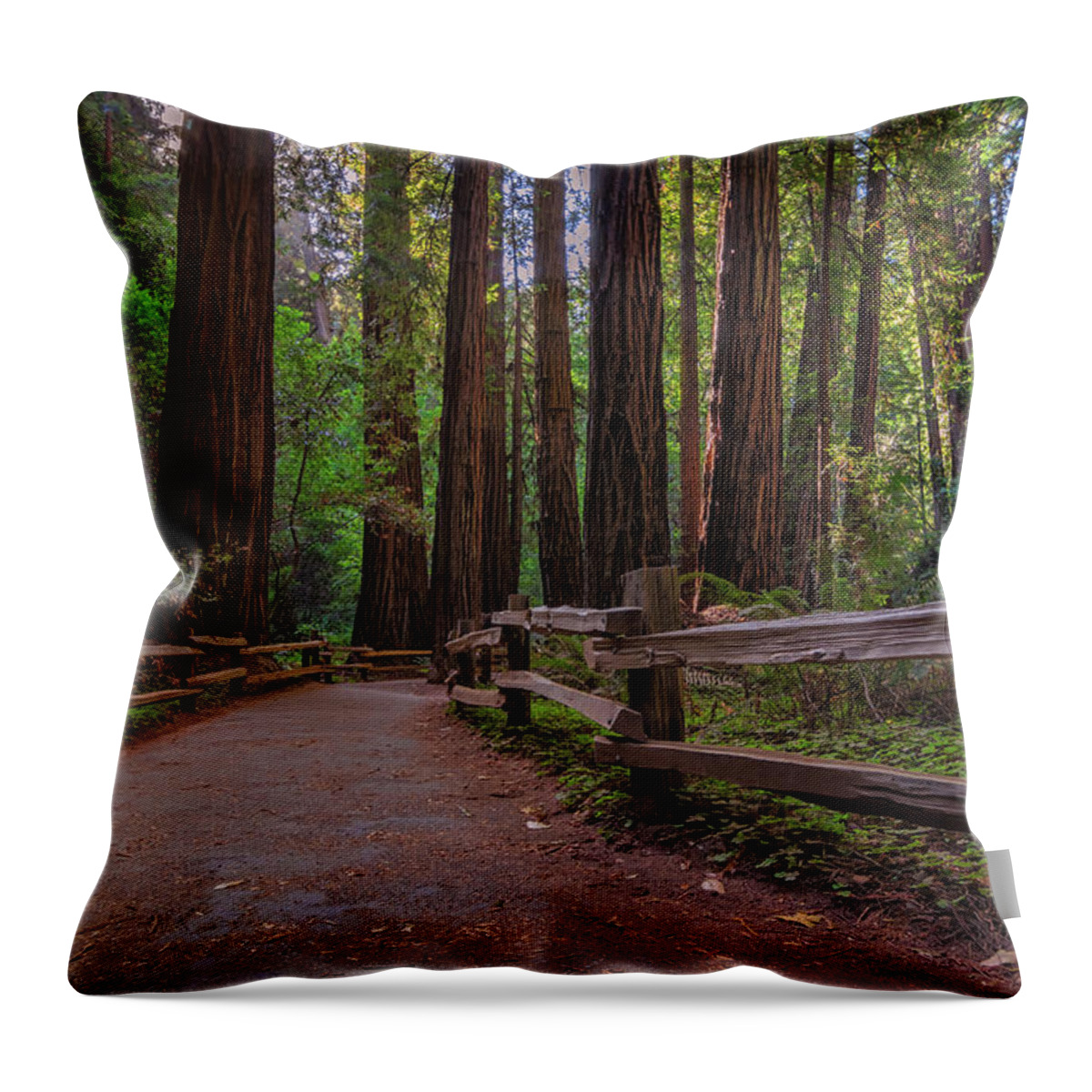 Muir Woods Throw Pillow featuring the photograph Morning in Muir Woods by Kristen Wilkinson