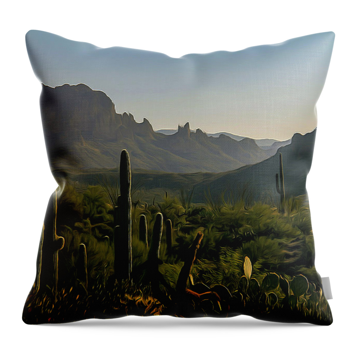 Landscape Throw Pillow featuring the photograph Morning in the Basin by Hans Brakob