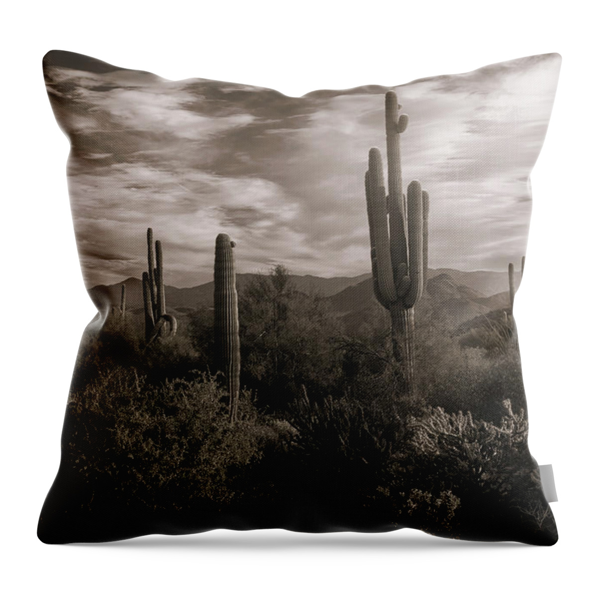 Saguaro Sunrise Throw Pillow featuring the photograph Morning Light in the Sonoran in Sepia by Saija Lehtonen