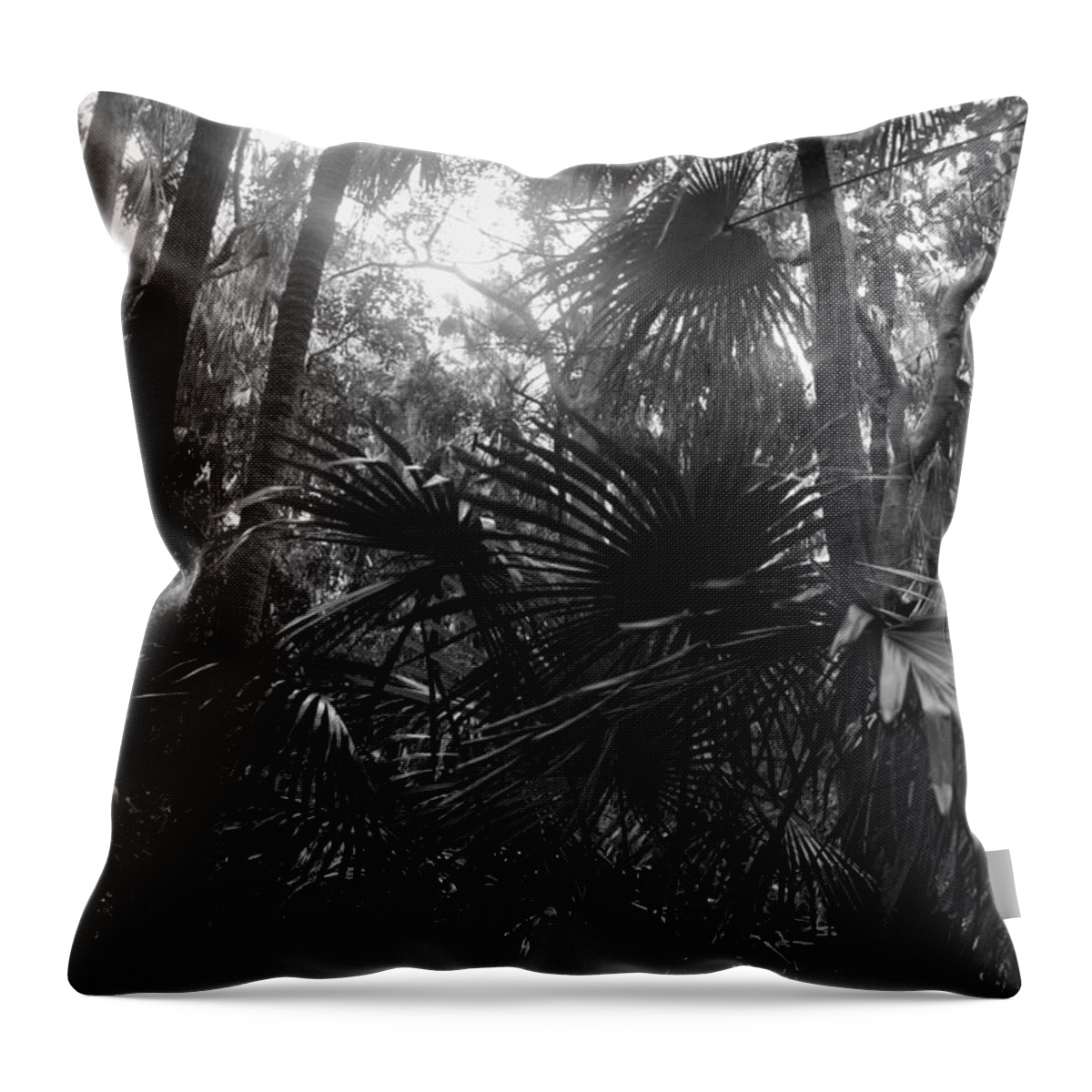 Trees Throw Pillow featuring the photograph Morning Light by Louise Telfer