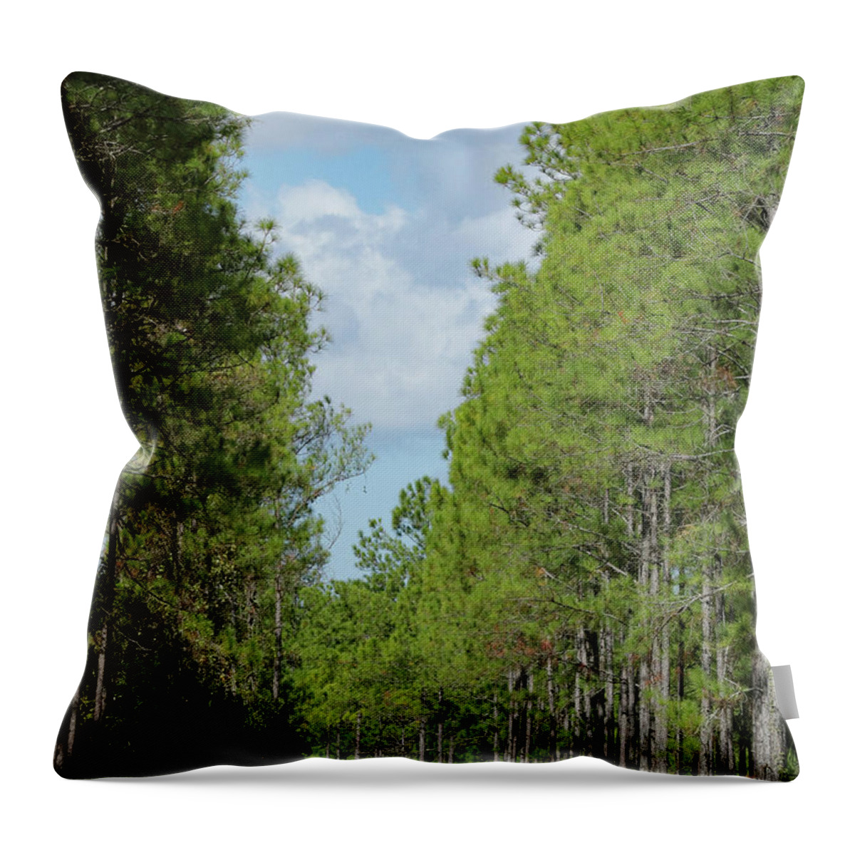 Bike Throw Pillow featuring the photograph Morning Ride by Rick Redman