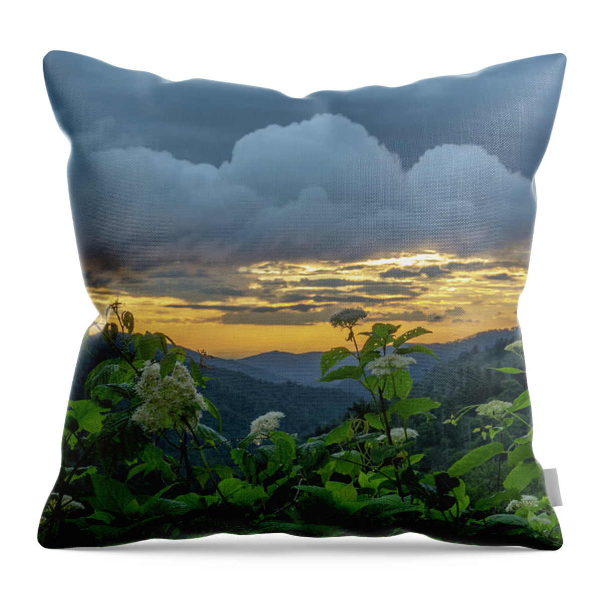 Smoky Throw Pillow featuring the photograph Morton Overlook After Storm by Douglas Wielfaert