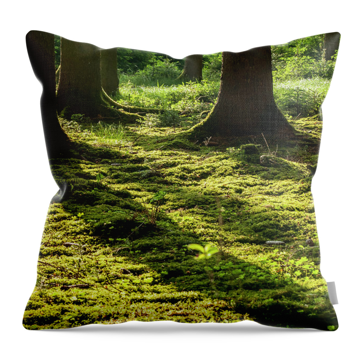 Shadow Throw Pillow featuring the photograph Moss On Forest Floor by Norbert Kurzka - Photography